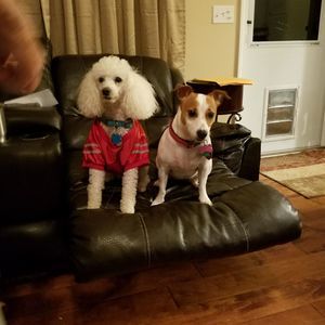 Meet your Posher, Sharon